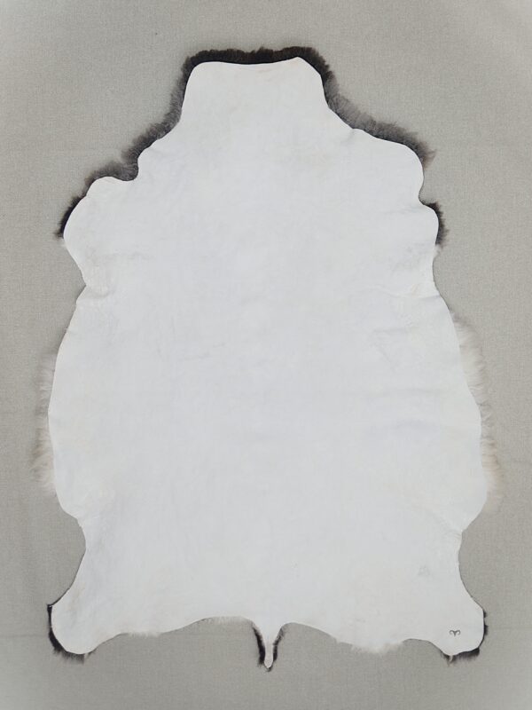 Lambanahk nr.7 - Image 2